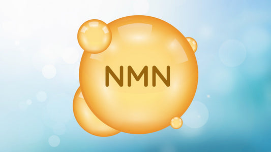 What is NMN? A Complete Guide to Its Benefits, Uses, and Science