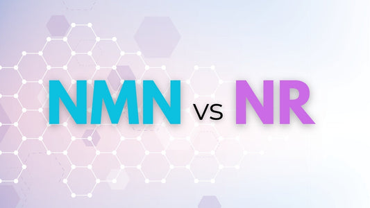 NMN vs NR: Which NAD+ Supplement is Better for You?